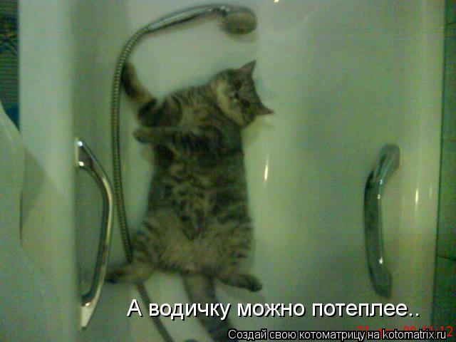Котоматрица: А водичку можно потеплее..