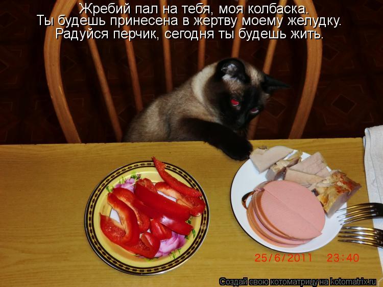 Котоматрица: Жребий пал на тебя, моя колбаска.  Ты будешь принесена в жертву моему желудку.  Радуйся перчик, сегодня ты будешь жить.