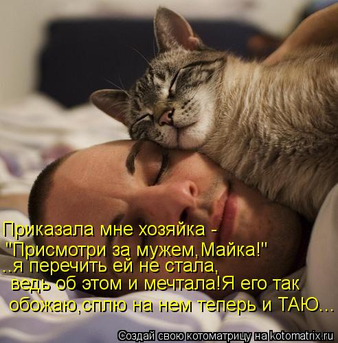 Котоматрица: Приказала мне хозяйка - "Присмотри за мужем,Майка!" ..я перечить ей не стала, ведь об этом и мечтала!Я его так обожаю,сплю на нем теперь и ТАЮ...
