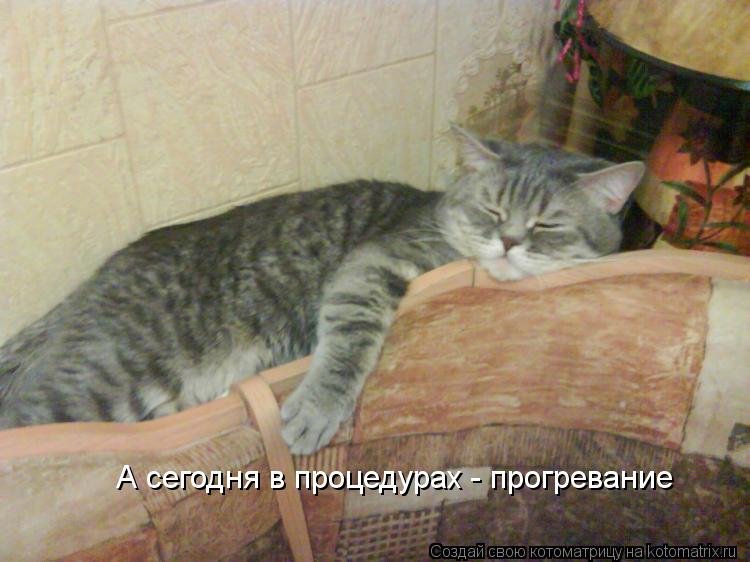 Котоматрица: А сегодня в процедурах - прогревание