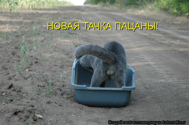 Котоматрица: НОВАЯ ТАЧКА ПАЦАНЫ!