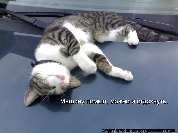 Котоматрица: Машину помыл, можно и отдохнуть...