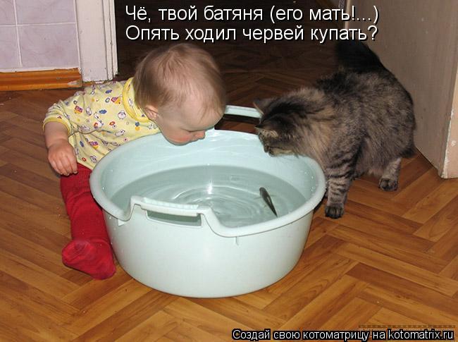 Чё, твой батяня (его мать!...) Опять ходил червей купать?... Котоматрица: Чё, твой батяня (его мать!...) Опять ходил червей купать?