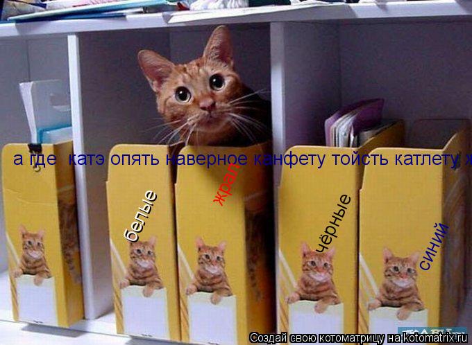 Котоматрица: белые чёрные  а где  катэ опять наверное канфету тойсть катлету жрал?????! синий жрал