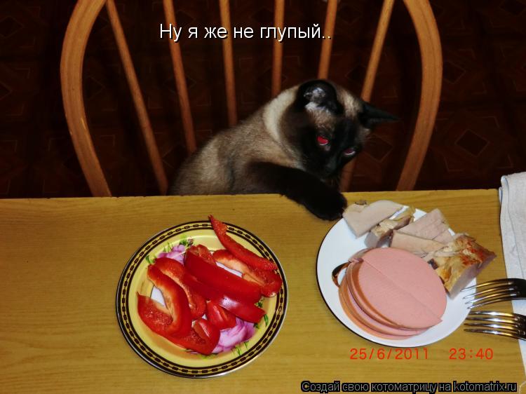 Котоматрица: Ну я же не глупый..