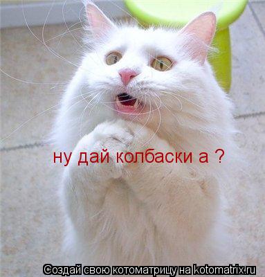 Котоматрица: ну дай колбаски а ?