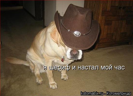 Котоматрица: я шериф и настал мой час я шериф и настал мой час