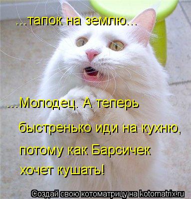 Котоматрица: ...тапок на землю... ...Молодец. А теперь быстренько иди на кухню, потому как Барсичек хочет кушать!