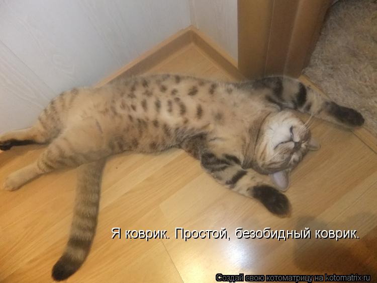 Котоматрица: Я коврик. Простой, безобидный коврик.