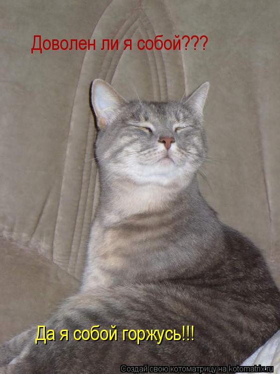 Котоматрица: Да я собой горжусь!!! Доволен ли я собой???
