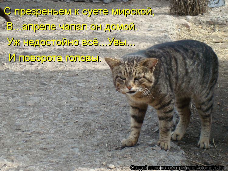Котоматрица: С презреньем к суете мирской, В...апреле чапал он домой. Уж недостойно всё...Увы... И поворота головы.