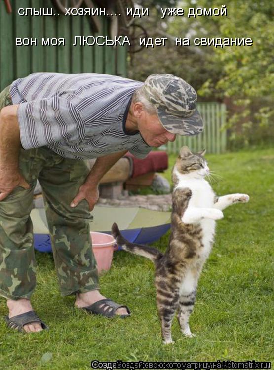 Котоматрица: слыш.. хозяин.... иди   уже домой  вон моя  ЛЮСЬКА  идет  на свидание