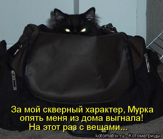 Котоматрица: За мой скверный характер, Мурка опять меня из дома выгнала! На этот раз с вещами...