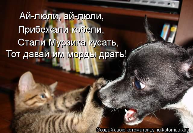 Ай-люли, ай-люли, Прибежали кобели, Стали Мурзика кусать, Тот давай им морды драть!... Котоматрица: Ай-люли, ай-люли, Прибежали кобели, Стали Мурзика кусать, Тот давай им морды драть!