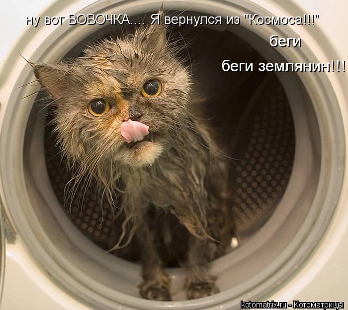 Котоматрица: ну вот ВОВОЧКА.... Я вернулся из "Космоса!!!" беги беги землянин!!!