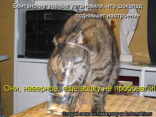 Котоматрица: Британские учёные установили, что шоколад поднимает настроение Они, наверное, ещё водку не пробовали! :D
