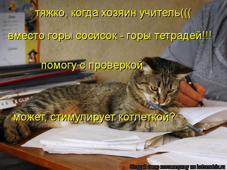 Котоматрица: тяжко, когда хозяин учитель((( вместо горы сосисок - горы тетрадей!!! помогу с проверкой может, стимулирует котлеткой?
