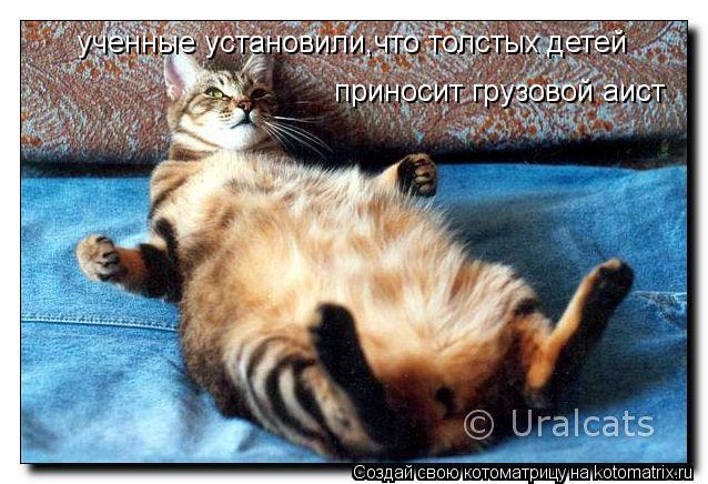 Котоматрица: ученные установили,что толстых детей приносит грузовой аист