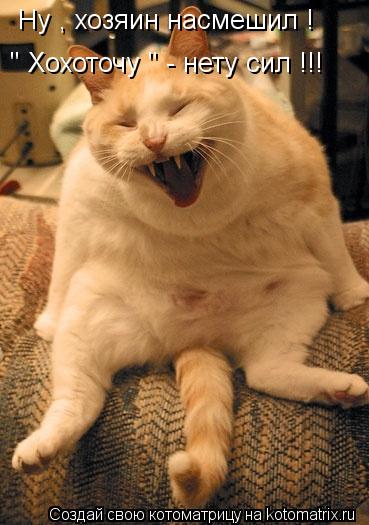 Котоматрица: Ну , хозяин насмешил ! " Хохоточу " - нету сил !!!