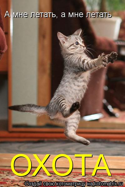 Котоматрица: А мне летать, а мне летать ОХОТА