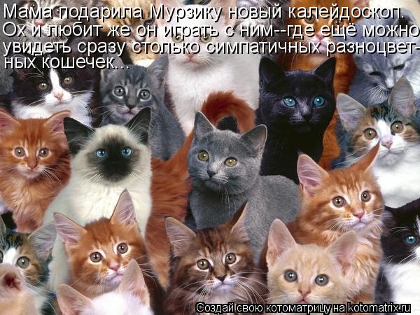 Котоматрица: Мама подарила Мурзику новый калейдоскоп. Ох и любит же он играть с ним--где ещё можно увидеть сразу столько симпатичных разноцвет- ных кошеч