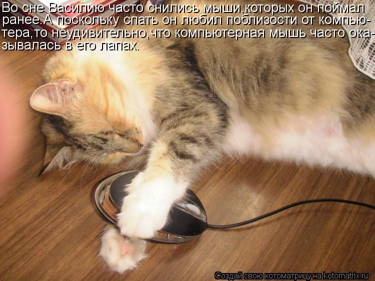 Котоматрица: Во сне Василию часто снились мыши,которых он поймал ранее.А поскольку спать он любил поблизости от компью- тера,то неудивительно,что компью