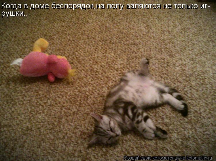 Котоматрица: Когда в доме беспорядок,на полу валяются не только иг- рушки...