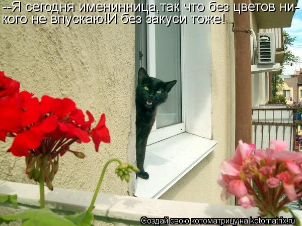 Котоматрица: --Я сегодня именинница,так что без цветов ни- кого не впускаю!И без закуси тоже!