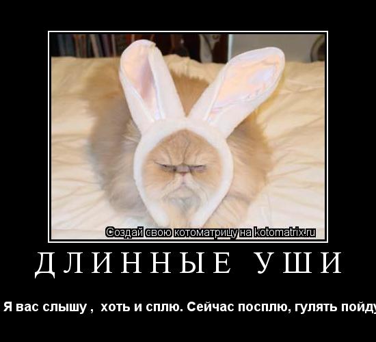 Длинные уши - Я вас слышу , хоть и сплю. Сейчас посплю, гулять пойду!... Котоматрица: Длинные уши - Я вас слышу , хоть и сплю. Сейчас посплю, гулять пойду!
