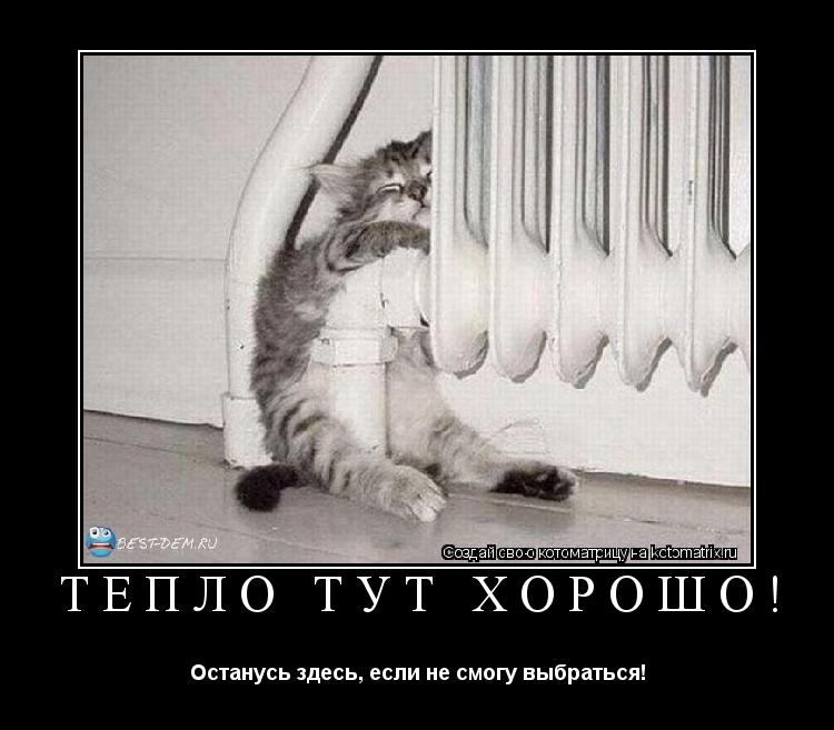 Тепло тут хорошо! Останусь здесь, если не смогу выбраться!... Котоматрица: Тепло тут хорошо! Останусь здесь, если не смогу выбраться!