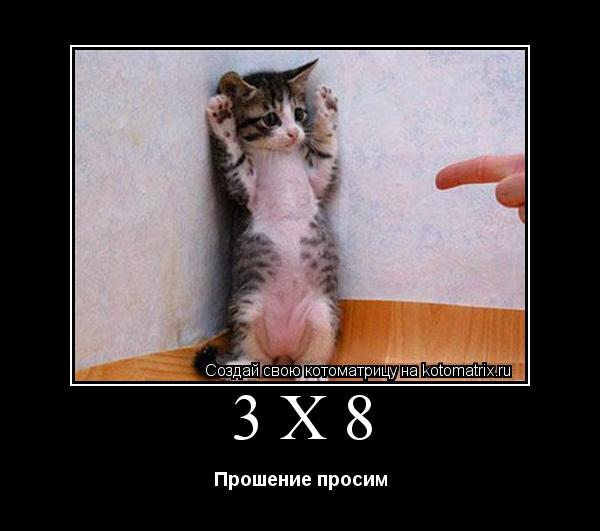 3x8 Прошение просим... Котоматрица: 3x8 Прошение просим