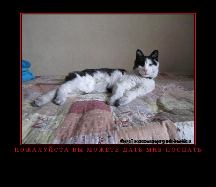 пожалуйста вы можете дать мне поспать ... Котоматрица: пожалуйста вы можете дать мне поспать
