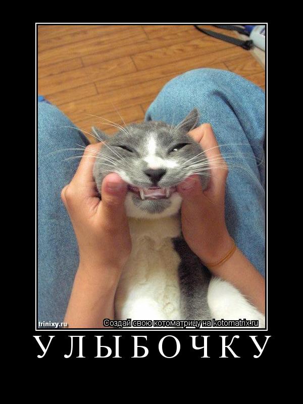 Улыбочку ... Котоматрица: Улыбочку