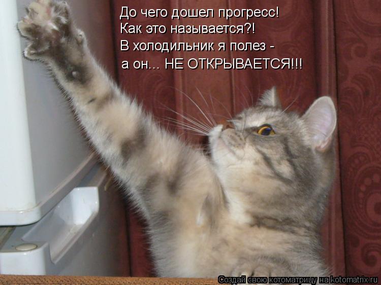 Котоматрица: До чего дошел прогресс! Как это называется?! В холодильник я полез -  а он... НЕ ОТКРЫВАЕТСЯ!!!