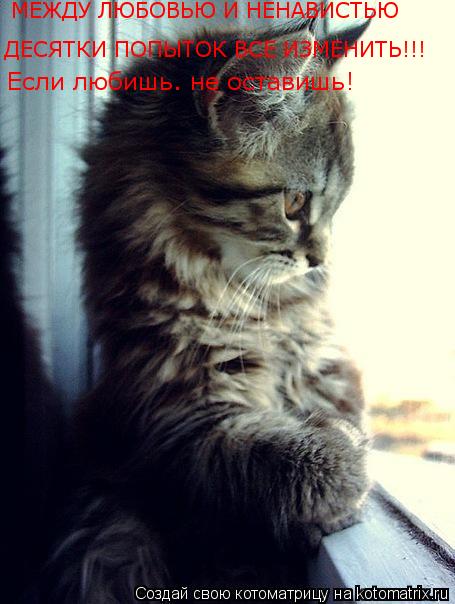 Котоматрица: ДЕСЯТКИ ПОПЫТОК ВСЕ ИЗМЕНИТЬ!!! МЕЖДУ ЛЮБОВЬЮ И НЕНАВИСТЬЮ Если любишь… не оставишь!
