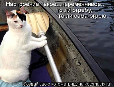 Котоматрица: Настроение такое...переменчивое.. то ли огребу, то ли сама огрею..