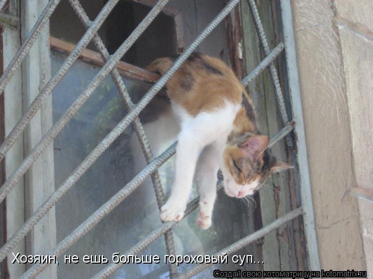 Котоматрица: Хозяин, не ешь больше гороховый суп...