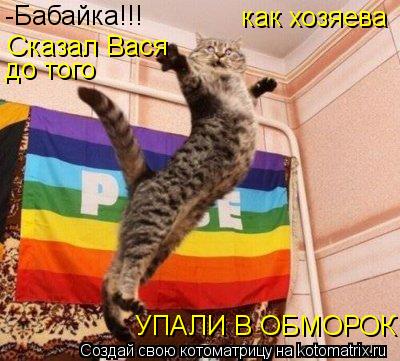 Котоматрица: -Бабайка!!! Сказал Вася  до того как хозяева УПАЛИ В ОБМОРОК