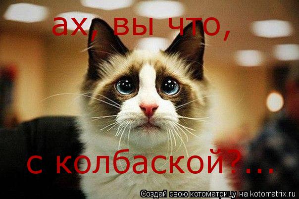 Котоматрица: ах, вы что,  с колбаской?...