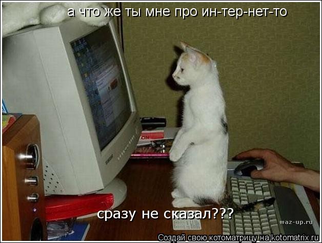 Котоматрица: а что же ты мне про ин-тер-нет-то  сразу не сказал???