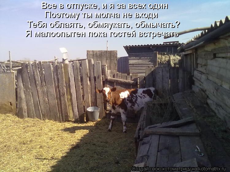 Все в отпуске, и я за всех один Поэтому ты молча не входи Тебя облаять, обмяукать, обмычать? Я малооп... Котоматрица: Все в отпуске, и я за всех один Поэтому ты молча не входи Тебя облаять, обмяукать, обмычать? Я малоопытен пока гостей встречать