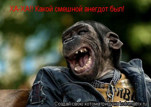 Котоматрица: ХА-ХА!! Какой смешной анегдот был!