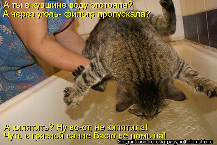 А ты в кувшине воду отстояла? А через уголь- фильтр пропускала? А кипятить? Ну во-от, не кипятила! Чу... Котоматрица: А ты в кувшине воду отстояла? А через уголь- фильтр пропускала? А кипятить? Ну во-от, не кипятила! Чуть в грязной ванне Васю не помыла!