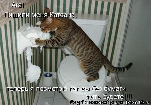 Котоматрица: Ага! Лишили меня Катсана, теперь я посмотрю как вы без бумаги жить будете!!!!