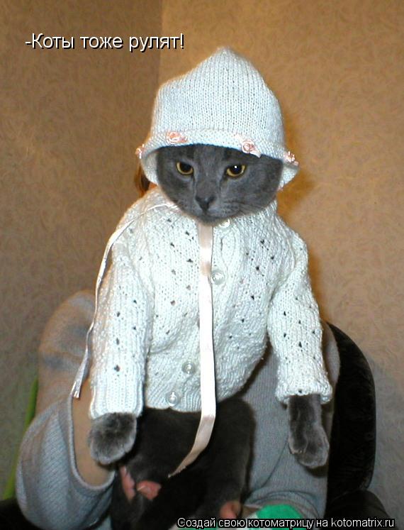 Котоматрица: -Коты тоже рулят!