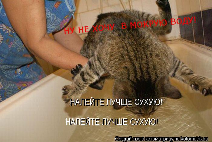 Котоматрица: НУ НЕ ХОЧУ  В МОКРУЮ ВОДУ! НАЛЕЙТЕ ЛУЧШЕ СУХУЮ! НАЛЕЙТЕ ЛУЧШЕ СУХУЮ!
