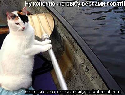 Котоматрица: Ну конечно же рыбу вёслами ловят!!!