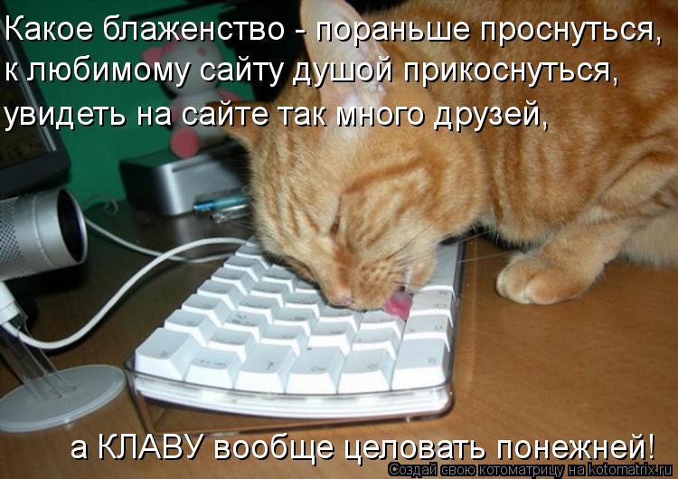 Котоматрица: Какое блаженство - пораньше проснуться,  к любимому сайту душой прикоснуться,  увидеть на сайте так много друзей,  а КЛАВУ вообще целовать по