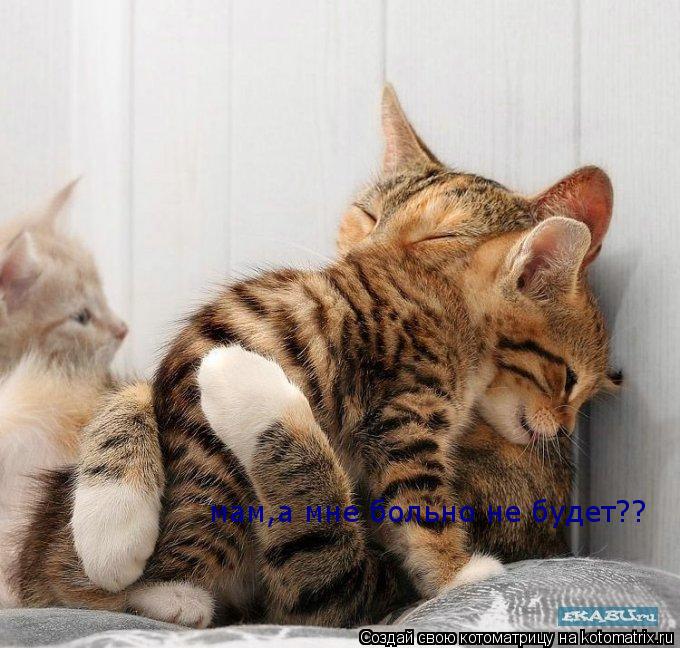 Котоматрица: мам,а мне больно не будет??