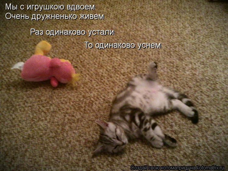 Мы с игрушкою вдвоем Очень дружненько живем Раз одинаково устали То одинаково уснем... Котоматрица: Мы с игрушкою вдвоем Очень дружненько живем Раз одинаково устали То одинаково уснем